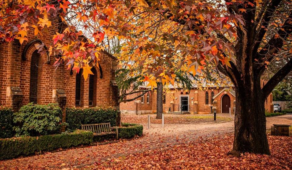 The Best Small Towns In NSW That You Can Visit By Public Transport