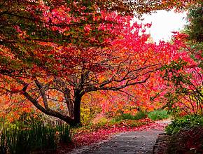 The Most Popular National Park In NSW Is At Its Prettiest In Autumn – With Stunning Waterfalls And Vibrant Foliage