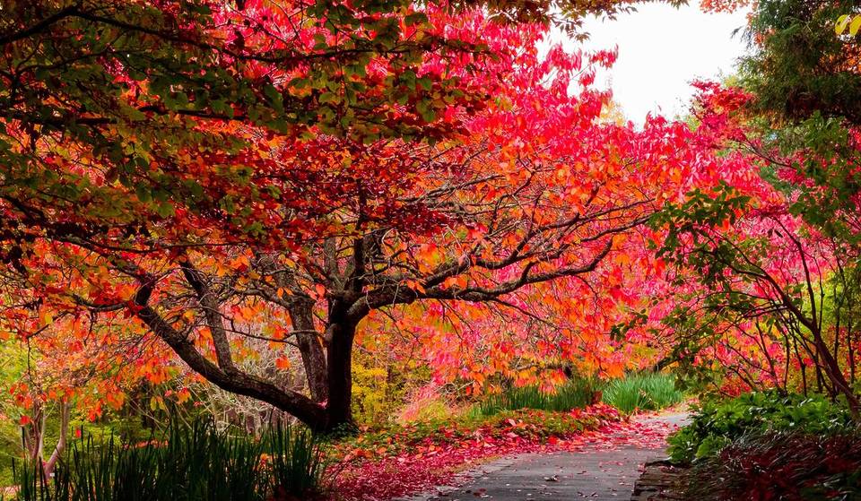 The Most Popular National Park In NSW Is At Its Prettiest In Autumn – With Stunning Waterfalls And Vibrant Foliage
