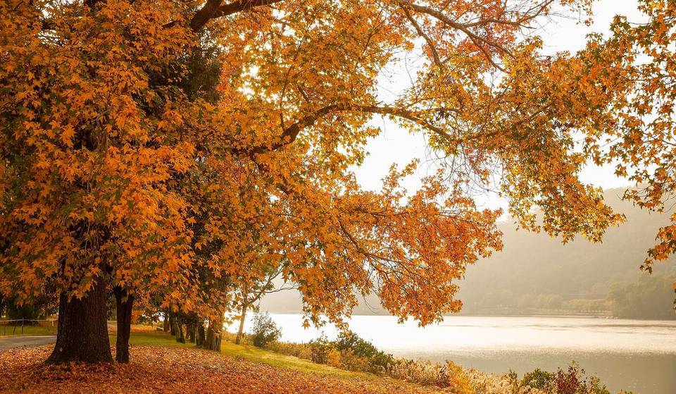 This Small Town Just 1 Hour From Sydney Is A Hidden Autumn Gem – With Riverside Views And Australia’s Oldest Pub