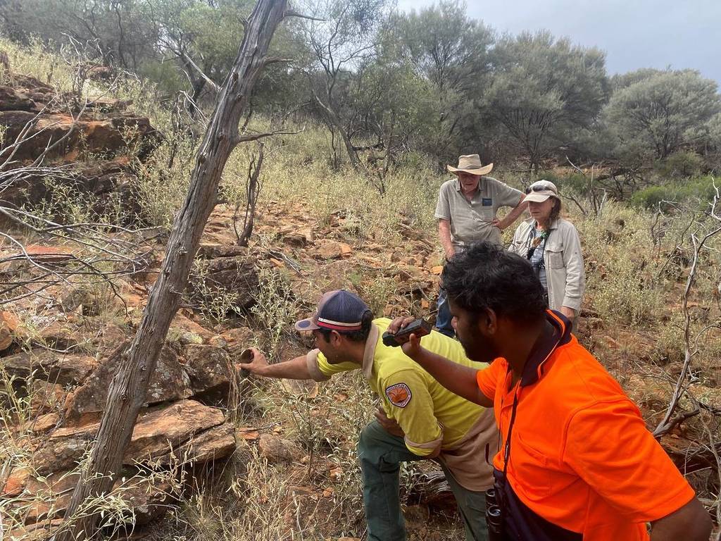 Kungaka monitoring team. Keanu Garni Bates (yellow shirt)_Ray Hunter (orange shirt)_Gerry Swan (back left)_Lyndy Marshall (back right). Tom Parkin