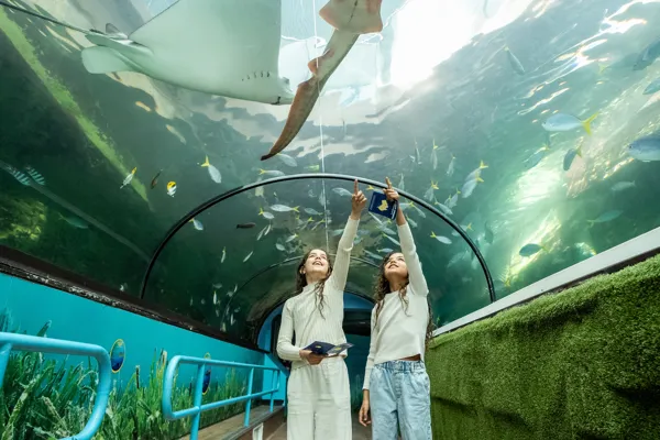 sealife passport