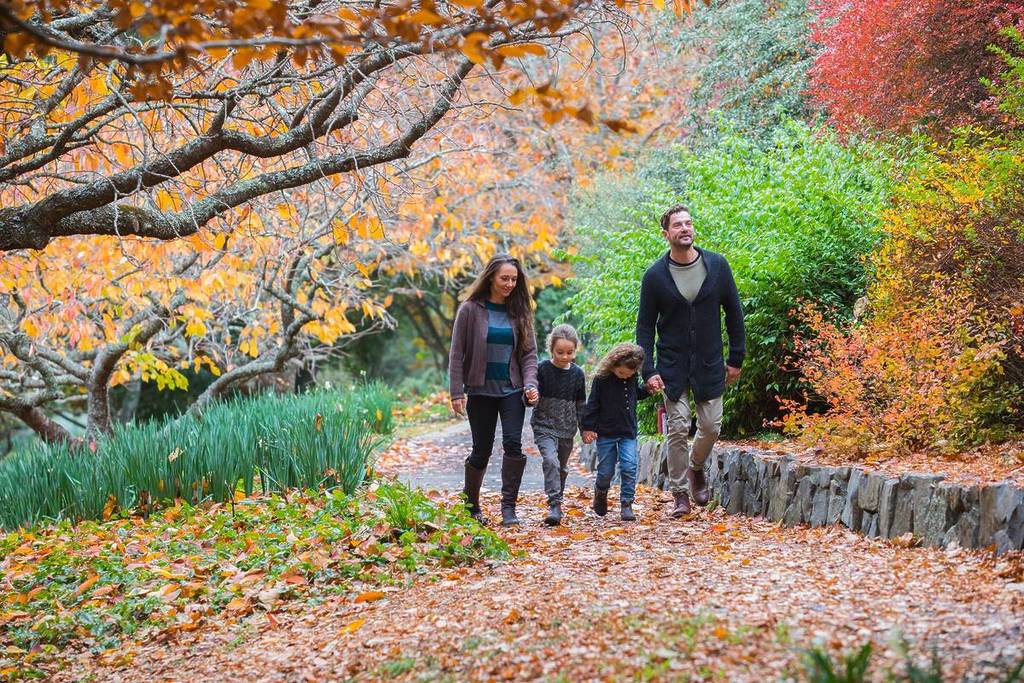 Family walking along a leaf-covered path surrounded by autumn foliage at Blue Mountains Botanic Garden Mount Tomah