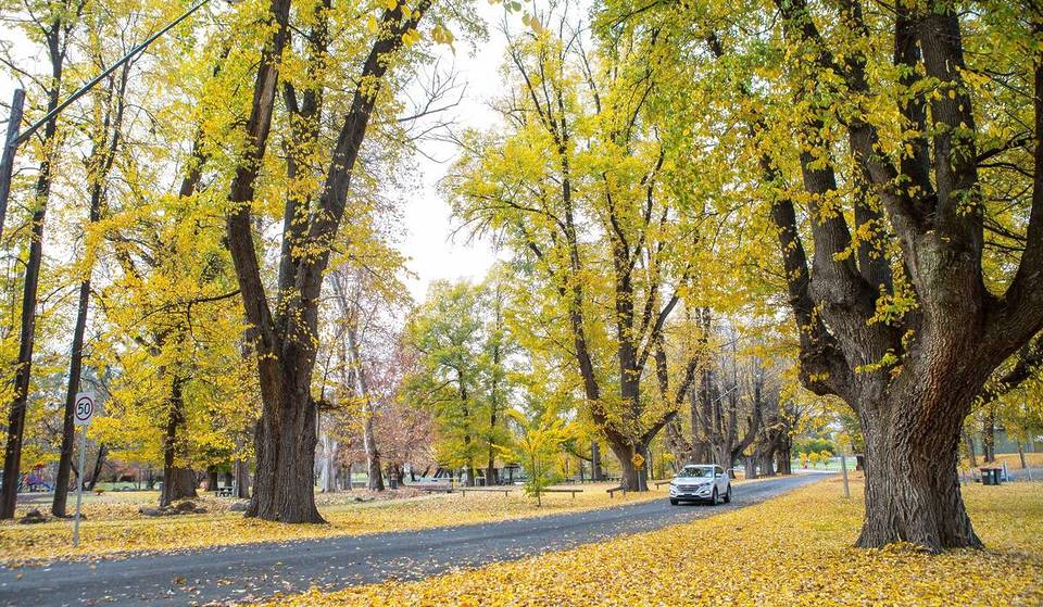 6 Small Towns In NSW That Are Charming – And Cheaper – In Autumn