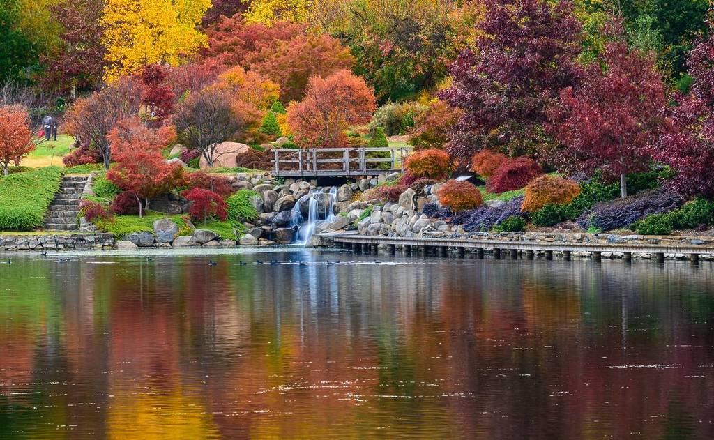 Lake and waterfall at Mayfield Garden surrounded by dense autumn foliage in red, orange and yellow