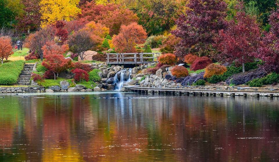 This Massive 65-Hectare Garden Is Absolutely Ablaze With Autumn Colour – Just 2.5 Hours From Sydney
