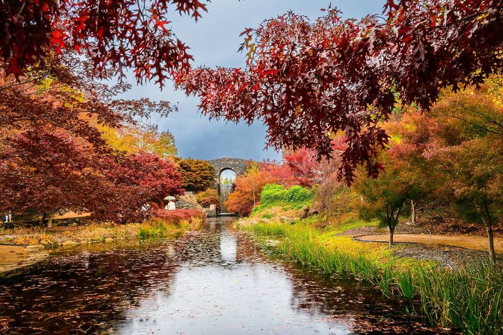 Water garden at Mayfield Garden with pond, stone bridge and vibrant autumn trees