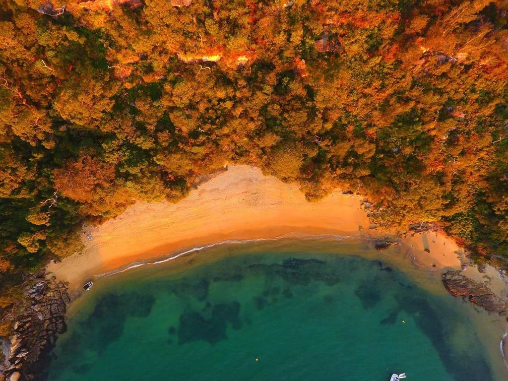 store beach sydney in manly