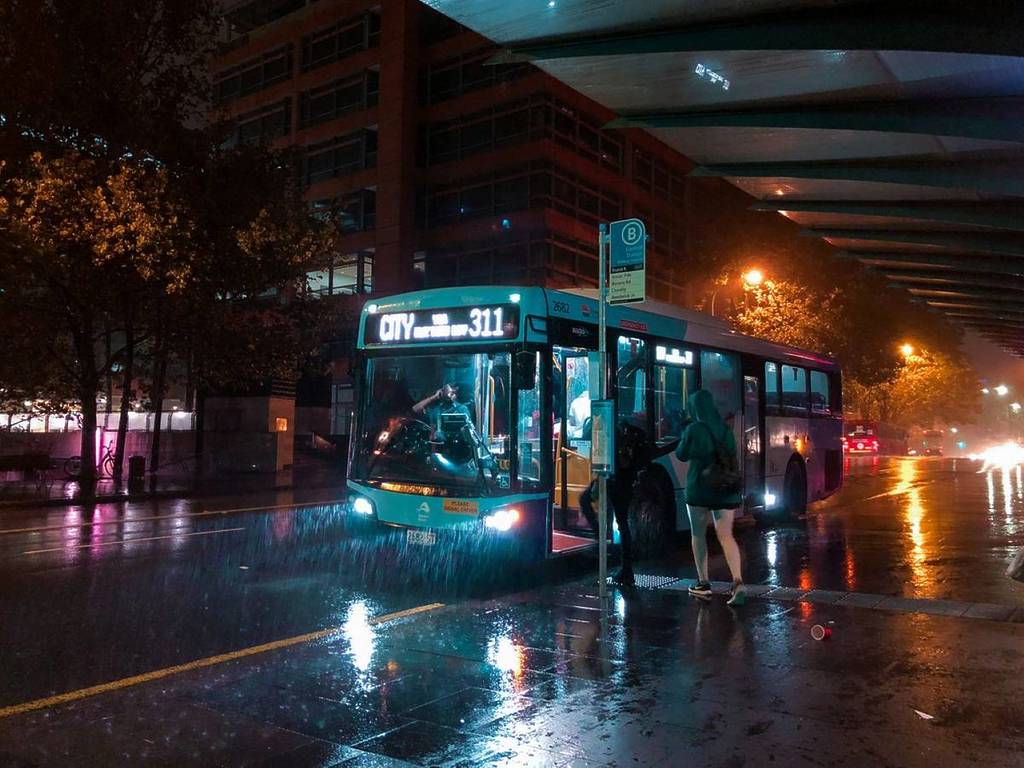 buses in nsw