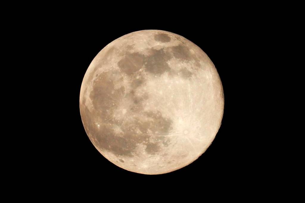 sydney nsw's flower moon