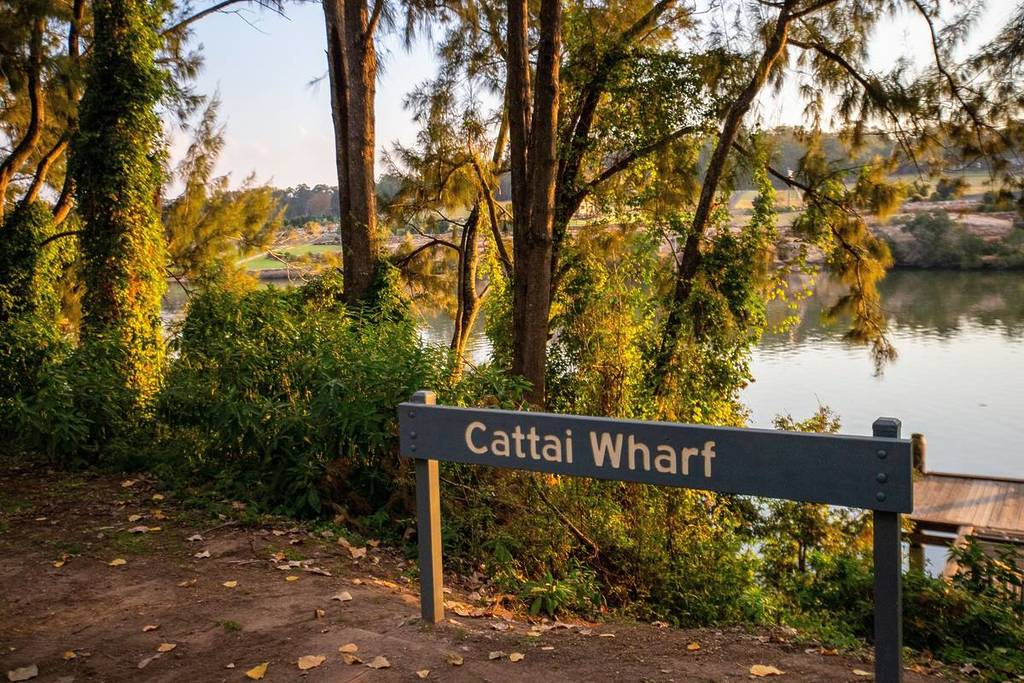 Sign reading “Cattai Wharf” overlooking the Hawkesbury River, framed by trees and greenery in Cattai National Park
