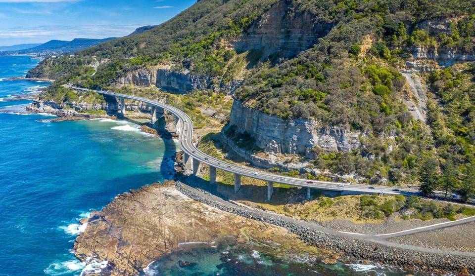 The 2nd best pet-friendly road trip in Australia is only a short scenic drive from Sydney — with 57 dog-friendly eateries and cliff-hugging ocean views