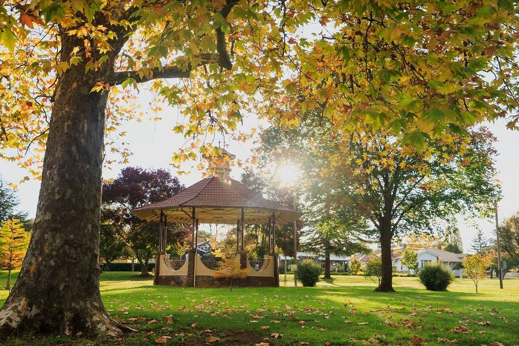 Autumn trees surrounding a gazebo in a Glen Innes park with fallen leaves on the grass