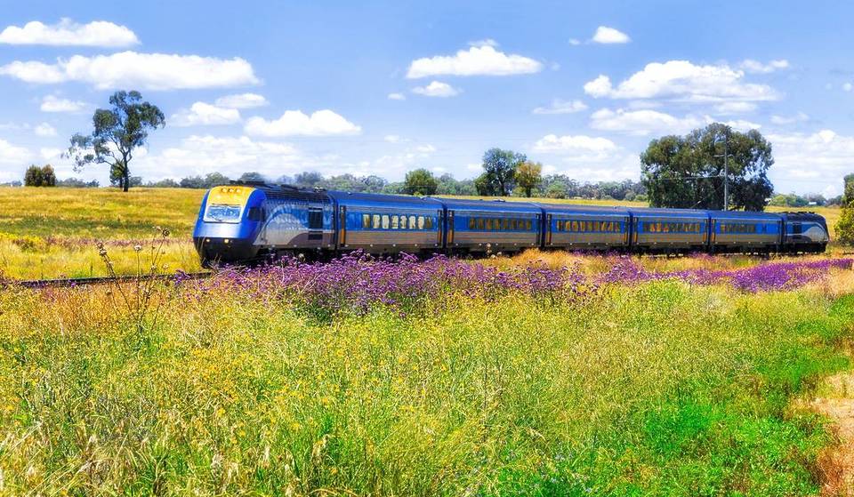 NSW TrainLink regional services announced with upgraded coaches: what changes this July for travel to Canberra and Queensland