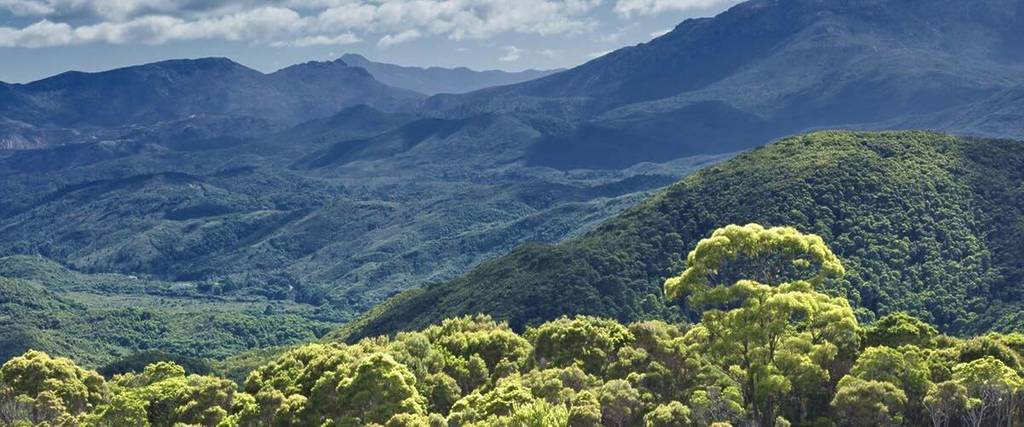 the great koala national park plan