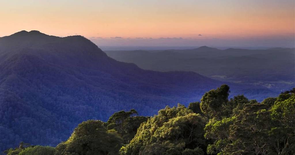 sunrise at great koala national park in nsw