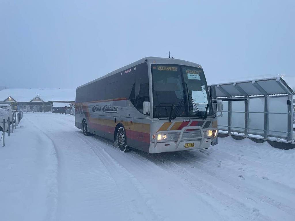 snowy mountains bus service nsw