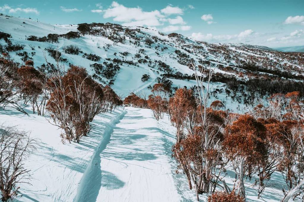 Snowy Mountains Winter in NSW