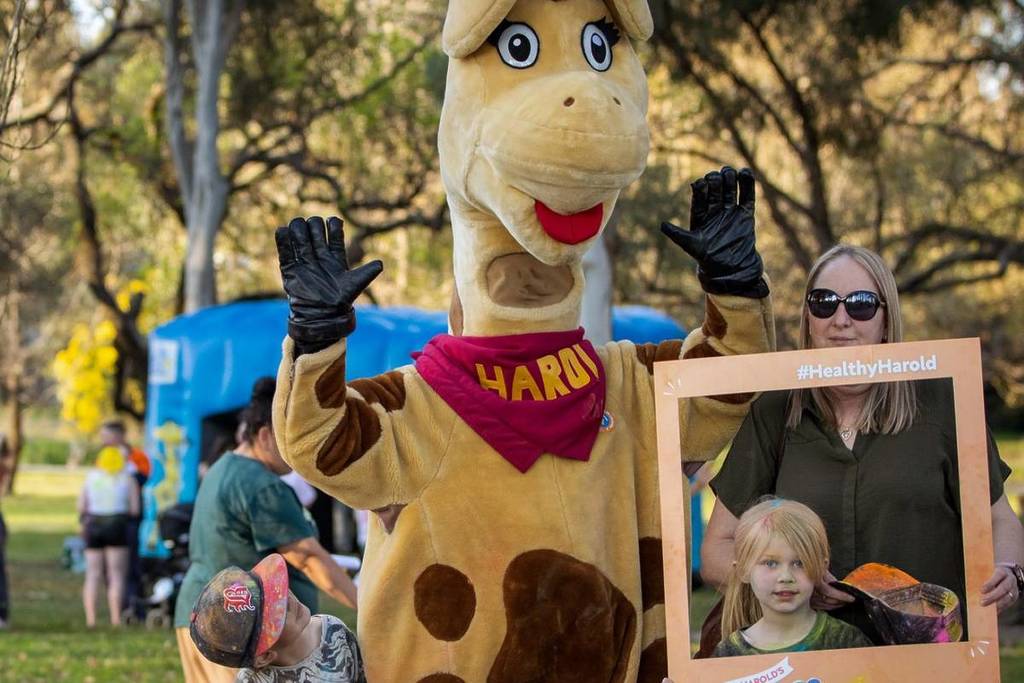 healthy harold the giraffe
