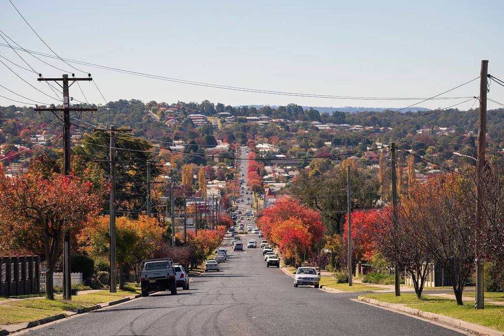 Long street in Armidale lined with red and orange autumn trees stretching into the distance