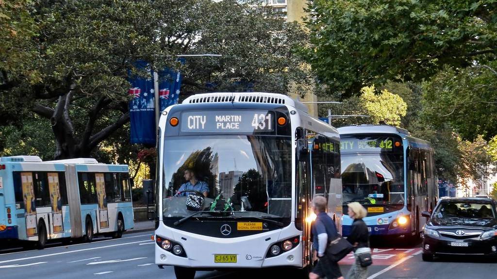 sydney busses