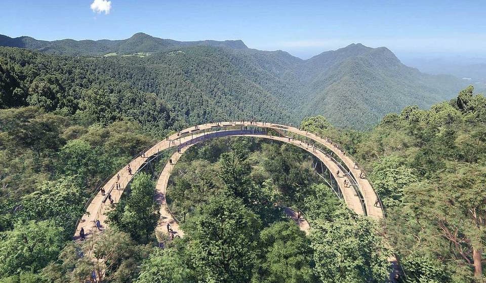 A new 46km walk is coming to NSW – winding through rainforests, waterfalls and incredible views