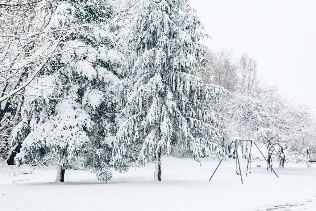 Trees and parkland blanketed in fresh snow during a winter weather event in NSW
