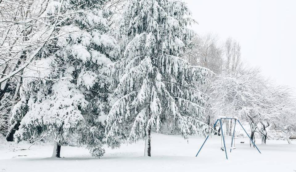 A burst of snow is heading for NSW just in time for the long weekend – here’s where to see it
