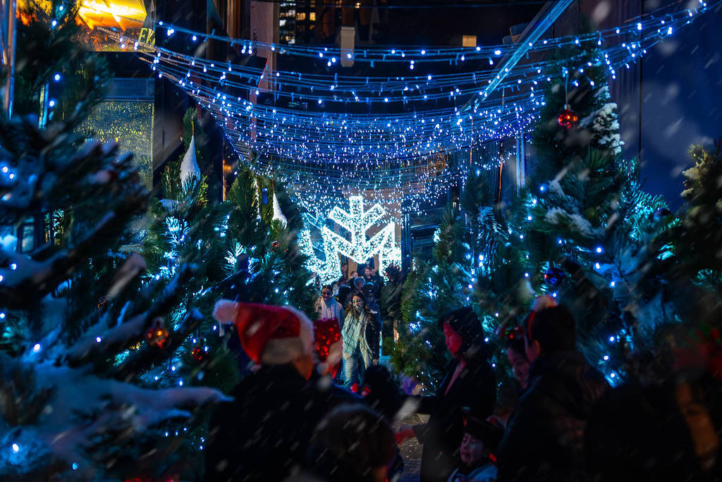 Snow-covered Christmas trees and illuminated decorations at Snow Lane during Christmas in July in The Rocks