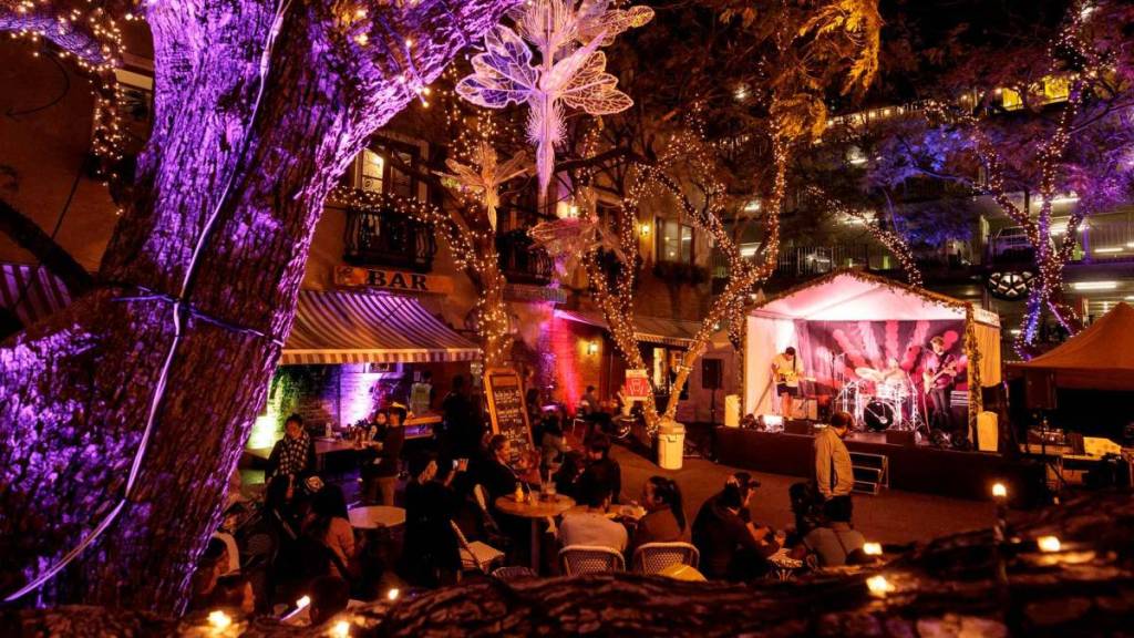 Live music performance and festivalgoers gathered beneath illuminated trees during a winter event in Parramatta