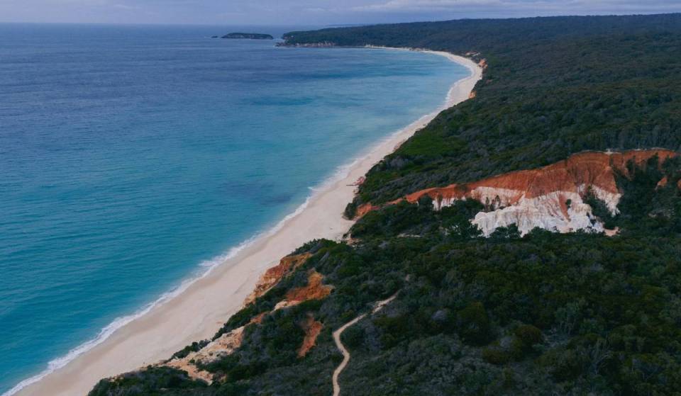 NSW could get its largest national park ever — covering 1.2 million hectares of forest and wild scenery