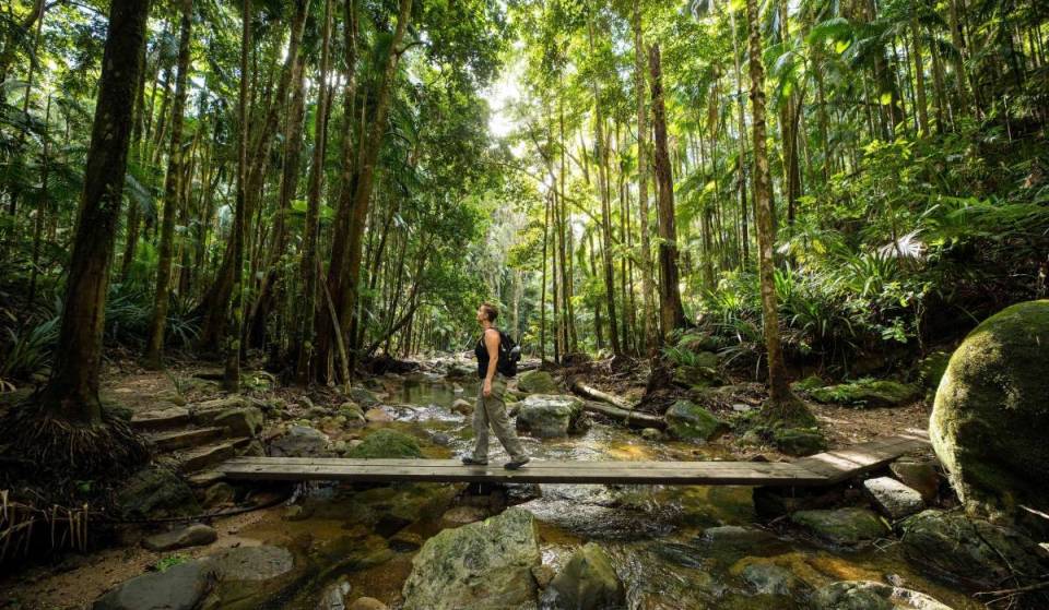 NSW national parks are getting a $130 million upgrade – with walking trails, campgrounds and lookouts
