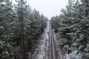 This small town in NSW is at its prettiest in winter – with snow‑dusted pine forests and cosy eateries