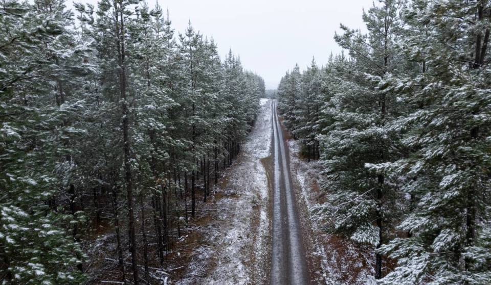 This small town in NSW is at its prettiest in winter – with snow‑dusted pine forests and cosy eateries