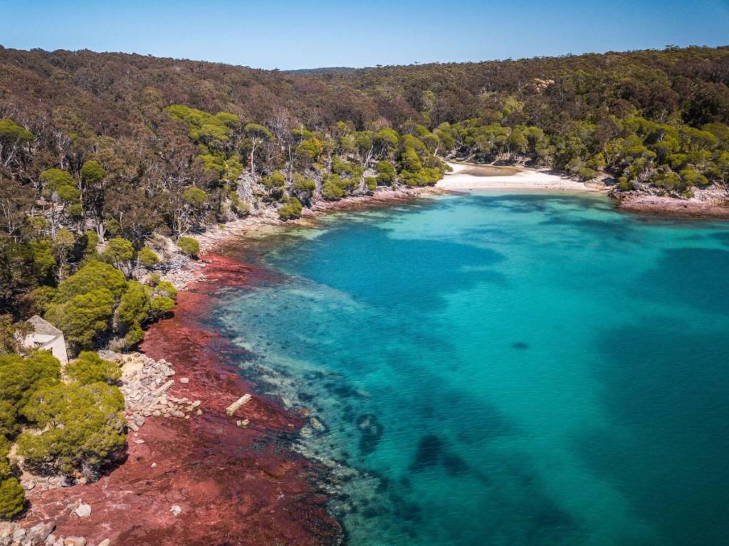 Turquoise bay and striking red rock shoreline along the Light to Light Walk in Beowa National Park