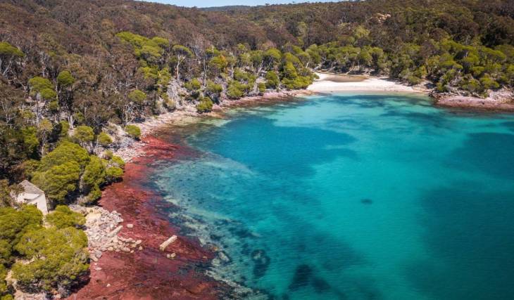 One of the prettiest winter hikes in NSW offers whale watching, dramatic red cliffs and a historic lighthouse