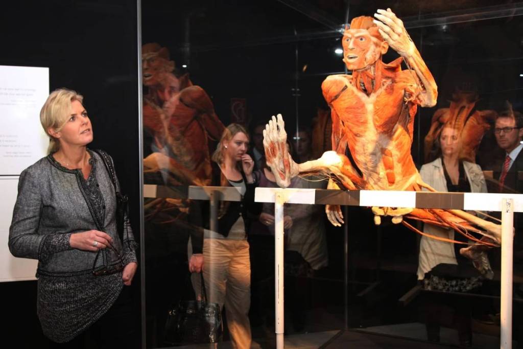 BODY WORLDS: The Anatomy Of Happiness is a fascinating journey through the human body coming to Sydney