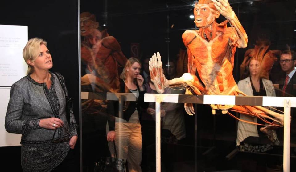 BODY WORLDS: The Anatomy Of Happiness is a fascinating journey through the human body coming to Sydney