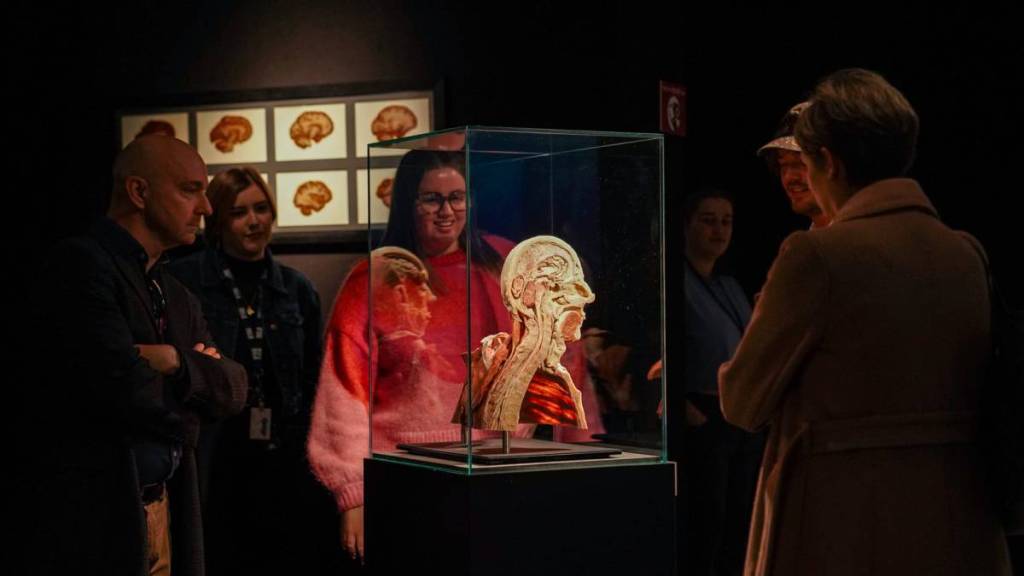 A woman stares at a slice of a head and neck at BODY WORLDS.