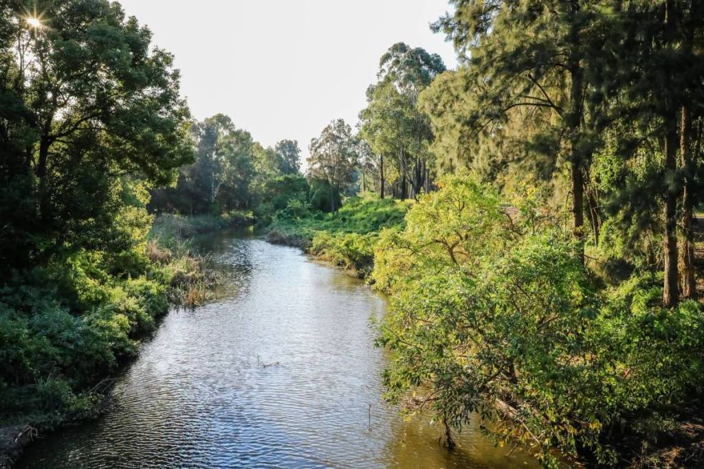 Tree-lined section of the Duck River corridor in Western Sydney surrounded by native vegetation