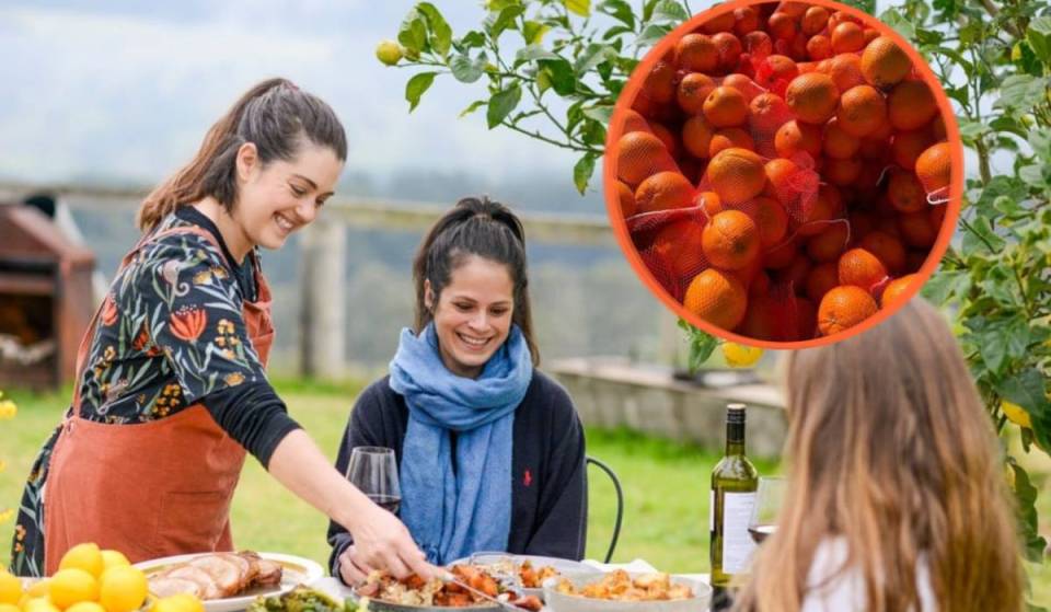 This charming NSW town is hosting a new citrus festival this weekend — with farm tours, cocktails and a global feast just 2 hours from Sydney