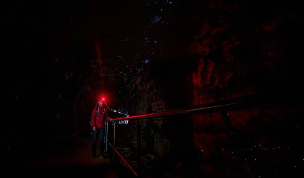Lithgow's Glow worm tunnel