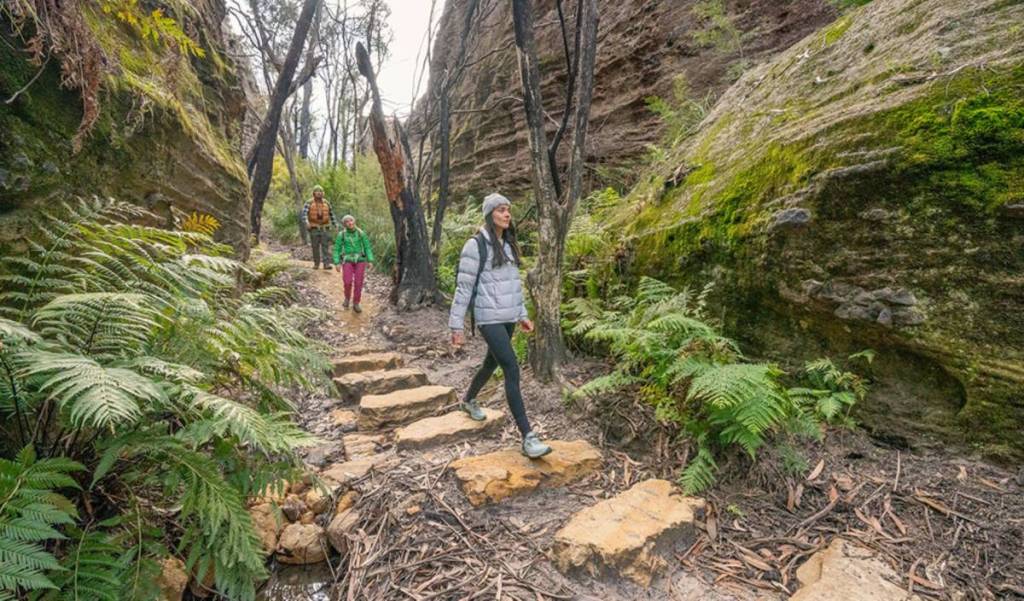 New broad swamp to birds rock walk at Gardens of Stone NSW