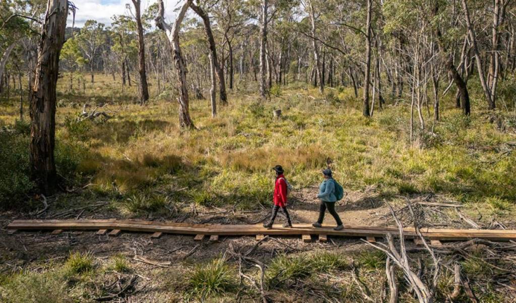broad swamp loop in Gardens of Stone NSW