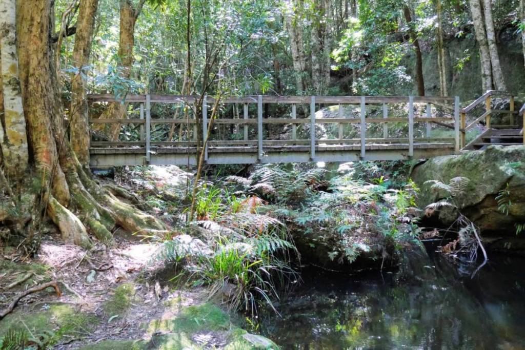 watagans state forest in NSW