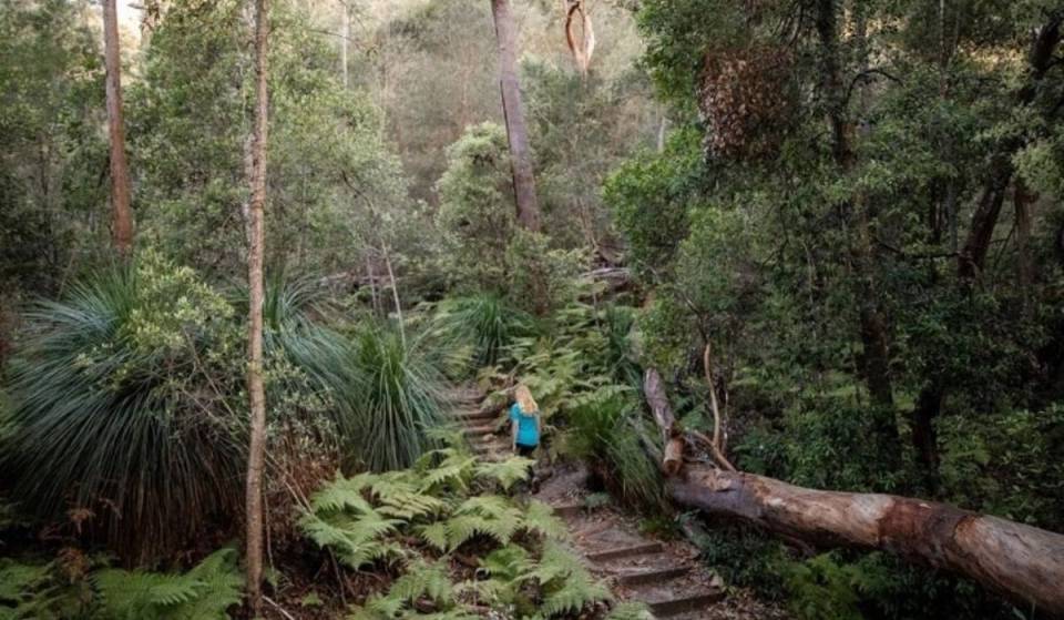 The longest walking trail in NSW is a 250km adventure through national parks, waterfalls and wild scenery