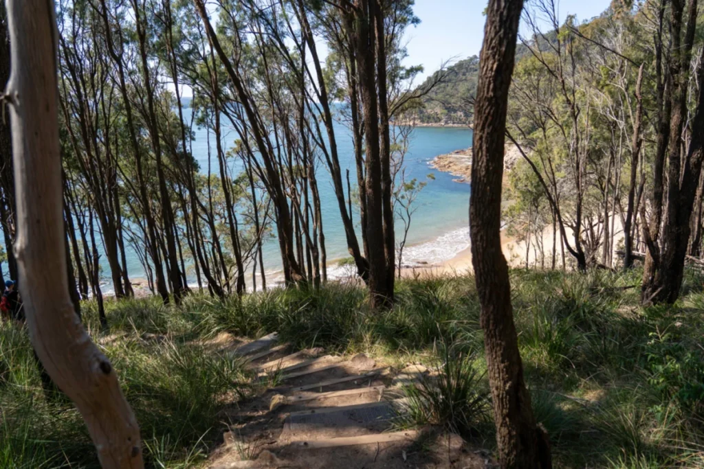 Great north walk near Sydney