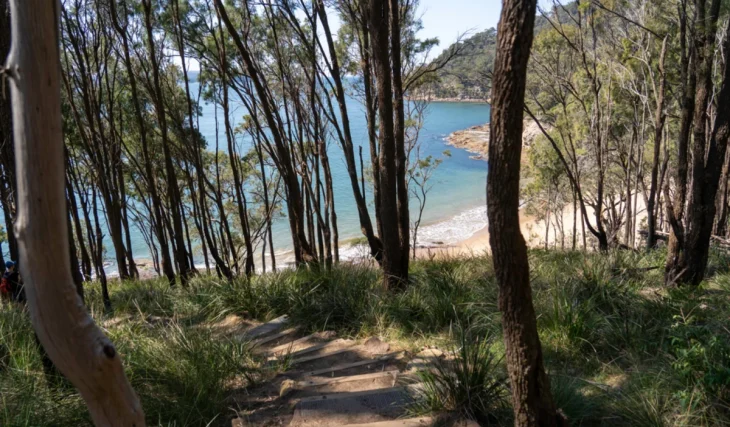 The longest walking trail in NSW is a 250km adventure through national parks, waterfalls and wild scenery