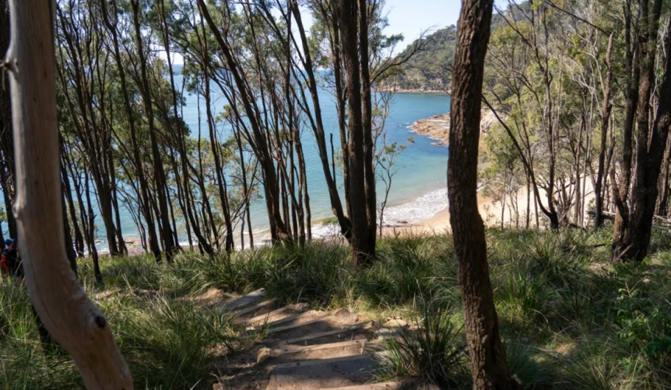 The longest walking trail in NSW is a 250km adventure through national parks, waterfalls and wild scenery