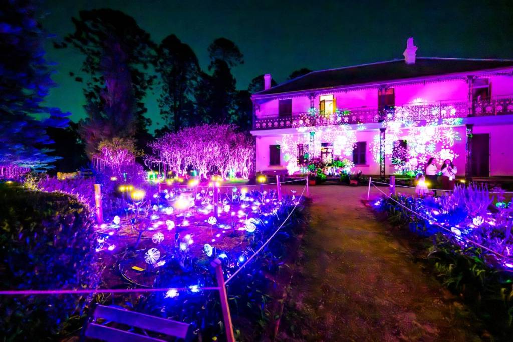 Colourful lights illuminate trees and the ground along the Echoes light trail at Bella Vista Farm